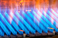 Steeton gas fired boilers